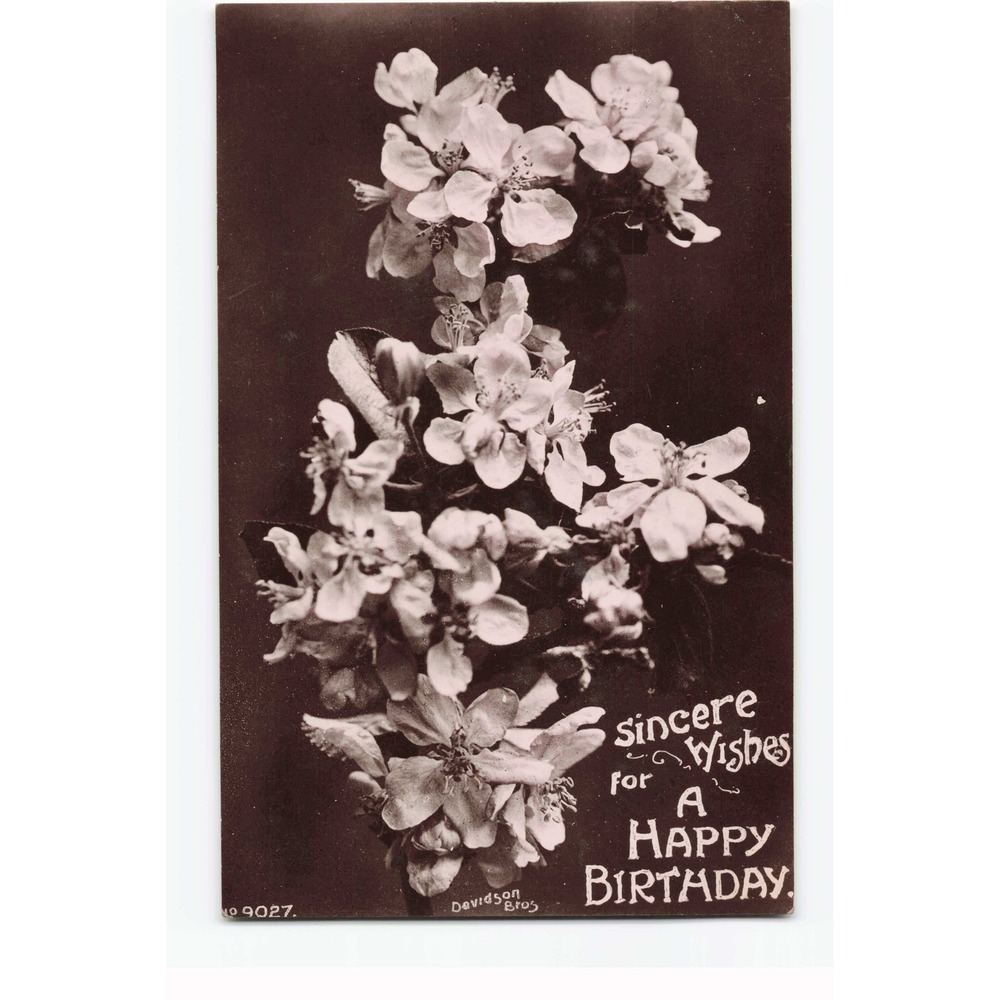 RPPC Birthday Postcard Davidson Bros Real Photographic Series Apple Blossoms